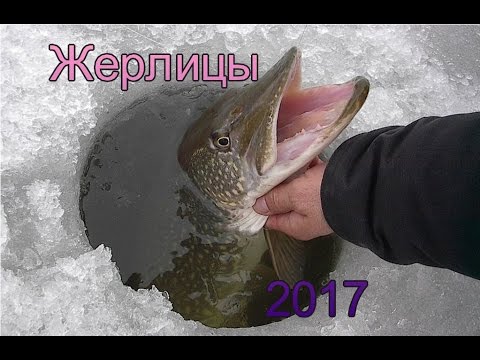 запрет рыбалки 2017г вуокса запрет рыбалки 2017г вуокса