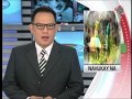 Missing teen found dead in Cavite after 10 days
