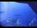 Probinsya Video preview