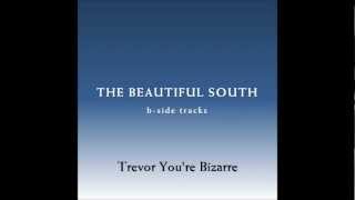 Watch Beautiful South Trevor Youre Bizarre video