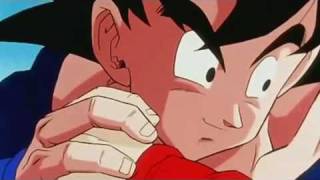 Goku, Piccolo & Gohan Training