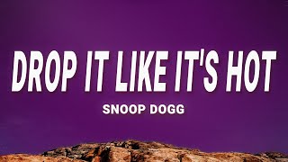 Snoop Dogg - Drop It Like Its Hot Lyrics