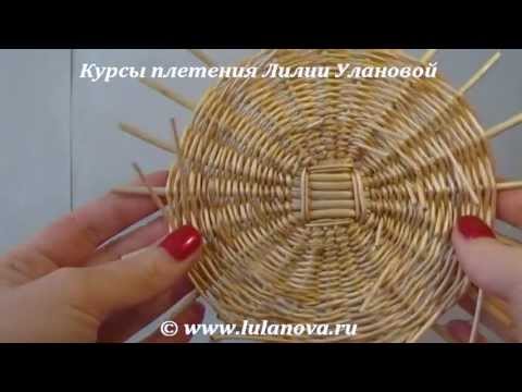 Лилия уланова плетение лозы Лилия уланова плетение лозы