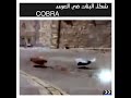 رقص البنات في العرس girls dancing