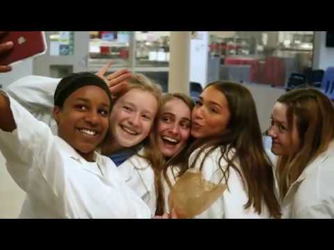 All Videos