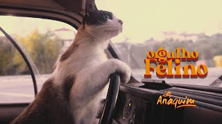 Anaquim - Orgulho Felino