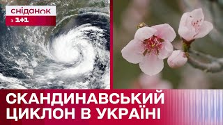 В Україну Йде Похолодання! Як Вплине Скандинавський Циклон На Активне Цвітіння Дерев?