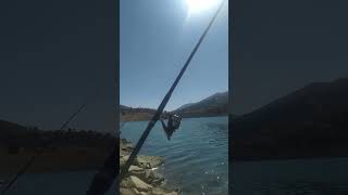 Barış Akarsu Yalı Çapkını