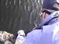 Title:pike attacks man (www.snoekvissers.nl) Description:WWW.SNOEKVISSERS.NL voor je eigen verslag online.