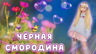 Мой Новый Кавер 