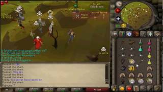 Sparc Mac Live Clip