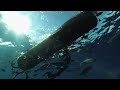 Industry embracing sustainable tuna fishing in the Pacific