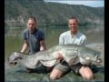 A collection of catfish pictures from www.carp.dk. All captured by Danish catfish specialists. These fish are all from River Ebr