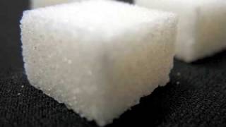 Dj Paul Elstak Vs Panic - We Shall Not Be Moved