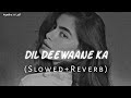 Dil Deewane Ka Dola Dildar Ke Liye (Slowed Ñ Reverb)