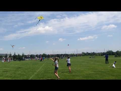 Kite fest. Toronto Kite fest. Toronto