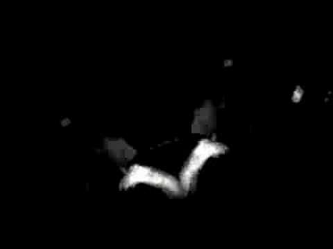 The Rapid Eye Movement Video