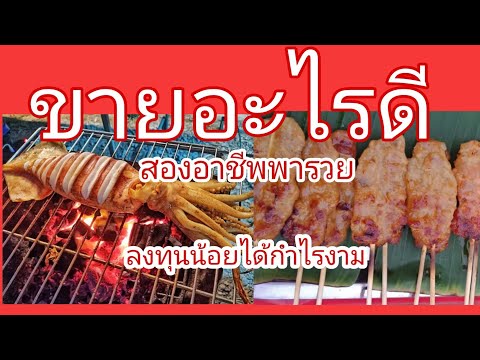 แนะนำสองอาชีพพารวยสงทุนน้อยกำไรงามๆ