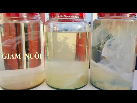 Cách làm Giấm Nuôi Tại Nhà Nước Trong Thơm Ngon