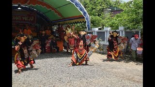 Jaranan Buto Agung Wilis Cluring 2019 Live Trembelang Banyuwangi