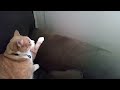 Excuse me...