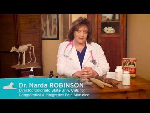 Want to Give Your Cat or Dog Natural Herbs? Watch This Video First