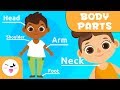 Parts of the head - The Human Body for kids - Vocabulary