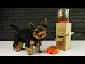 DIY Puppy Dog Food Dispenser from Cardboard at Home