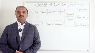 Lloyds Of London Insurance