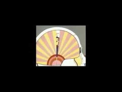 Cinema Video