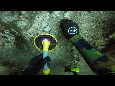 Scuba Diving the Devil's Den for Lost Valuables! (Found 2 Prehistoric Bones) | DALLMYD | dallmyd Scuba Diving the Devil's Den for Lost Valuables! (Found 2 Prehistoric Bones) | DALLMYD | dallmyd