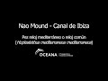 Nao Mound - Canal de Ibiza / Pez reloj