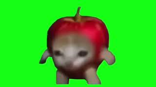 Apple Cat Green Screen