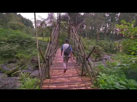 jembatan bambu Baturraden Adventure Forest
