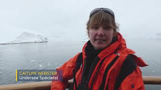 FjordPhyto Citizen Science Project