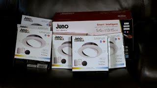 Juno Lights Up The Thomas Family Home