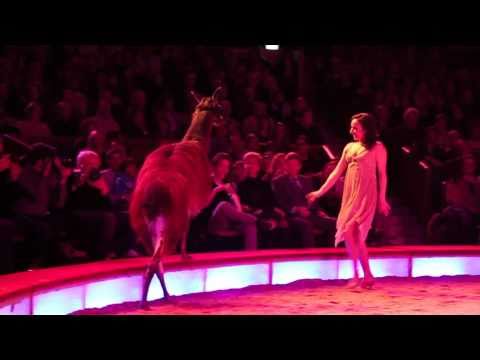zirkus krone münchen programm