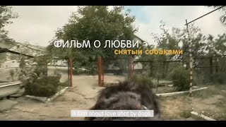 Фильм О Любви, Снятый Собаками  A Film About Love, Shot By Dogs