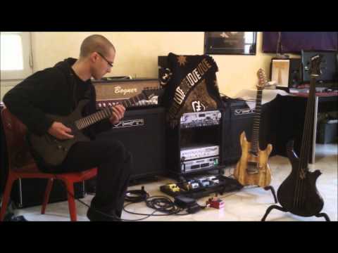 Xavier Boscher (Nebuleyes, Misanthrope) PMC Guitars Blast X (EMG, VHT GP3 2502)