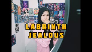 LABRINTH - JEALOUS (COVER VIRA)