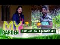 My Garden 16-05-2021