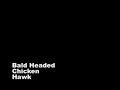 Bald Headed Chicken Hawk