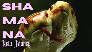 Watch Shamana New Money video