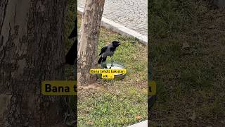 Bu Karta Bana Saldıracak Diye Çok Korktum