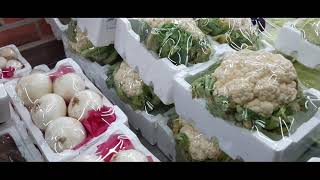 Its Market Timejamiya Hateen Kuwait