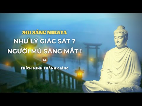 Soi Sáng NIKAYA - Như Lý Giác Sát ? Người Mù Sáng Mắt ! 1A