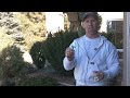 airless paint sprayer