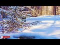 Smooth Jazz Music - Relaxing Background Chill Out Music - Jazz for Studying, Sleep, Work