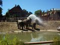 Zoo Denmark
