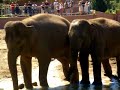 Zoo Denmark
